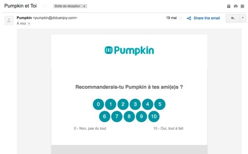questionnaire NPS Pumpkin 