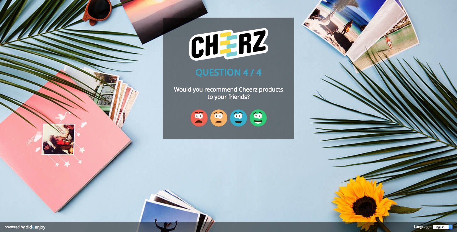 questionnaire satisfaction diduenjoy cheerz